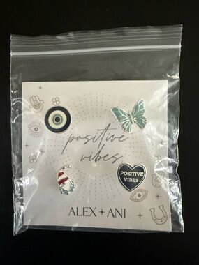 Alex and Ani Silver Pin Back Set